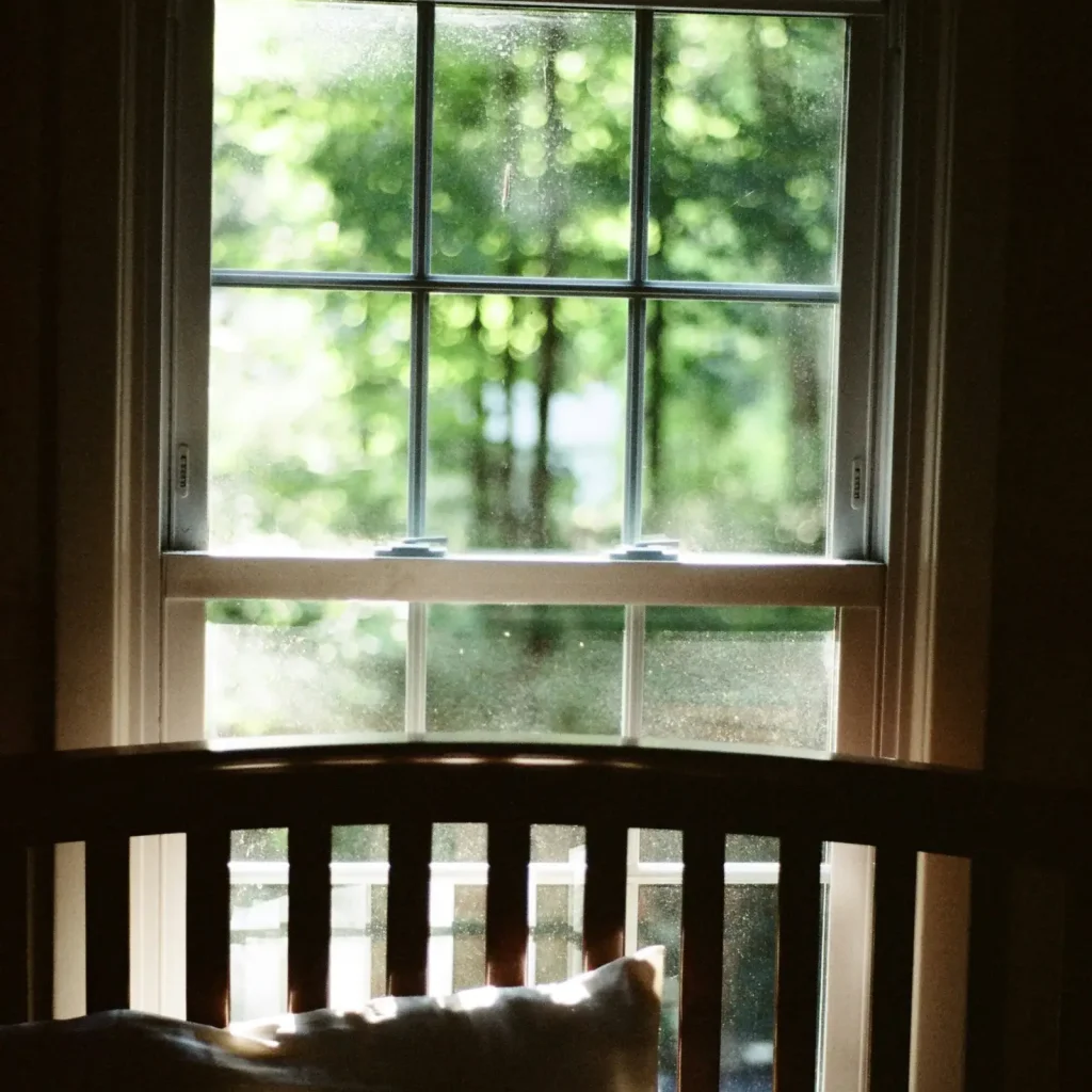 photo-1763441344618-8a4a2abc8db2